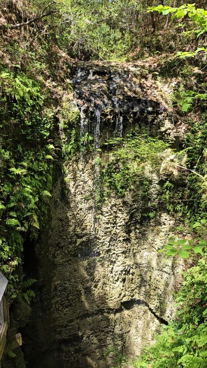 Falling Waters State Park - Parks Near Me - Chipley, Florida