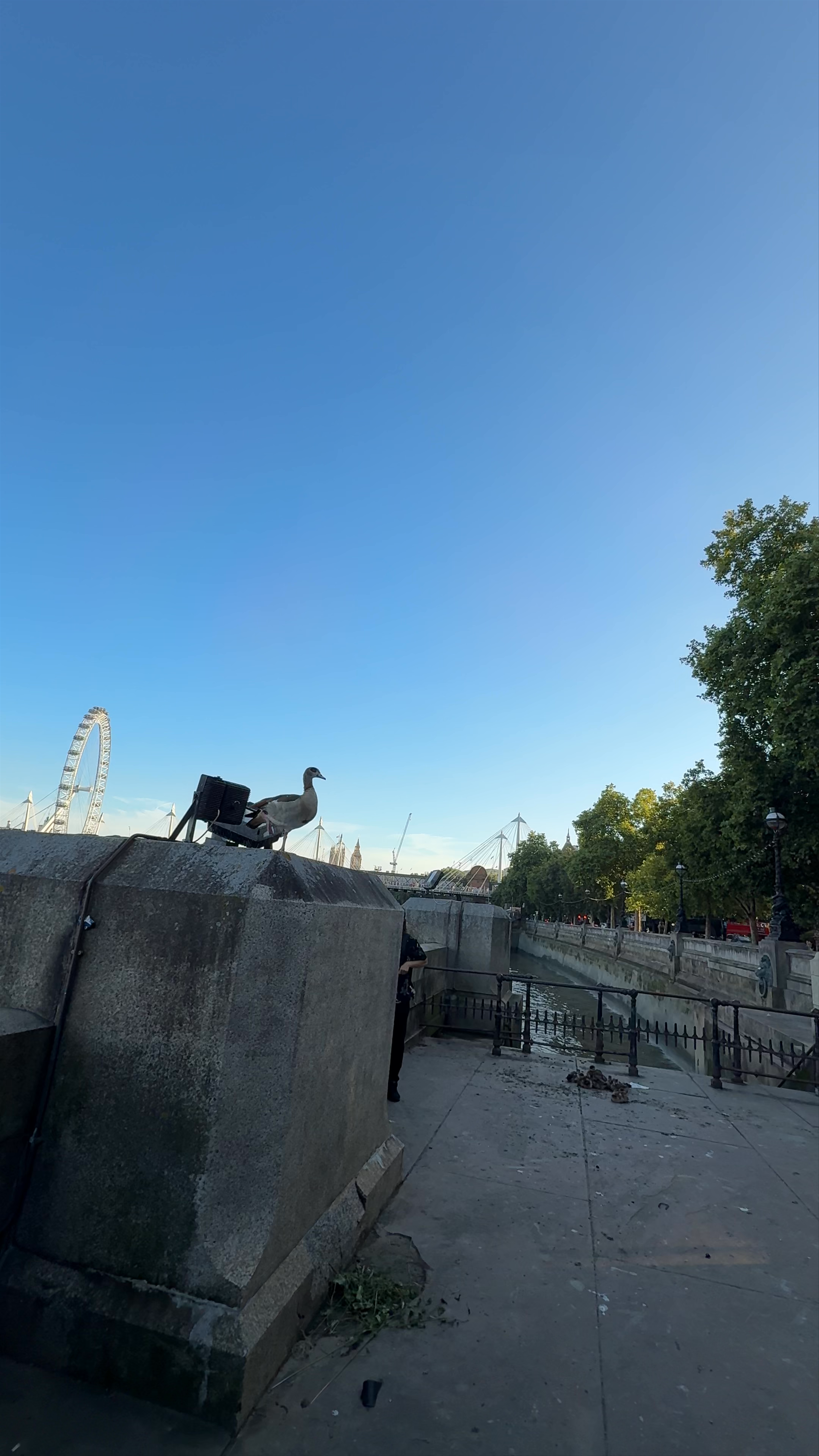 Cleopatra's Needle: Ancient Egyptian Obelisk in London's Historic Heart
