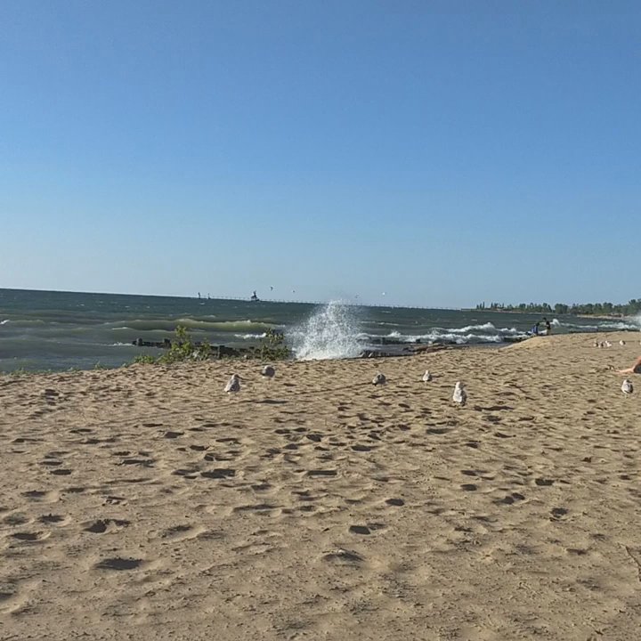 Lions Park Beach - Early evening at the beach. - Beaches Near Me - Saint Joseph, Michigan