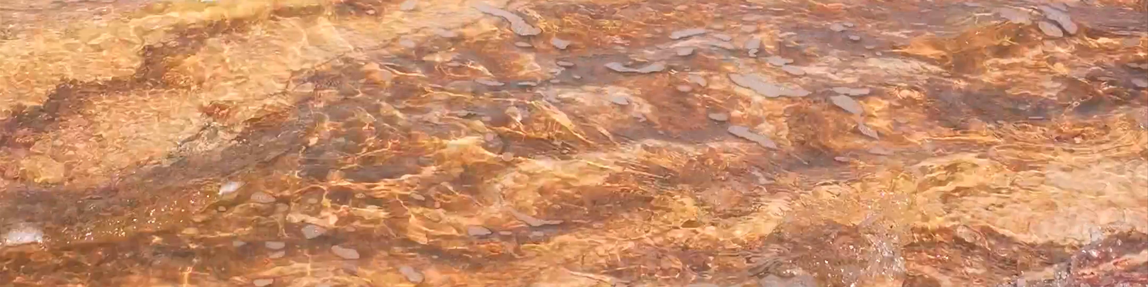 Dead Sea Beach