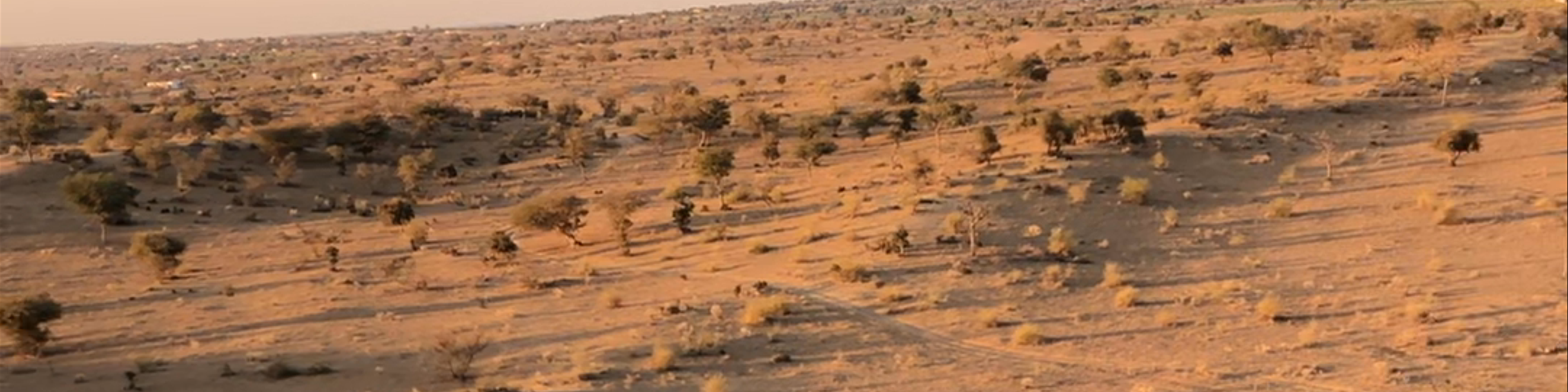 Jaisalmer