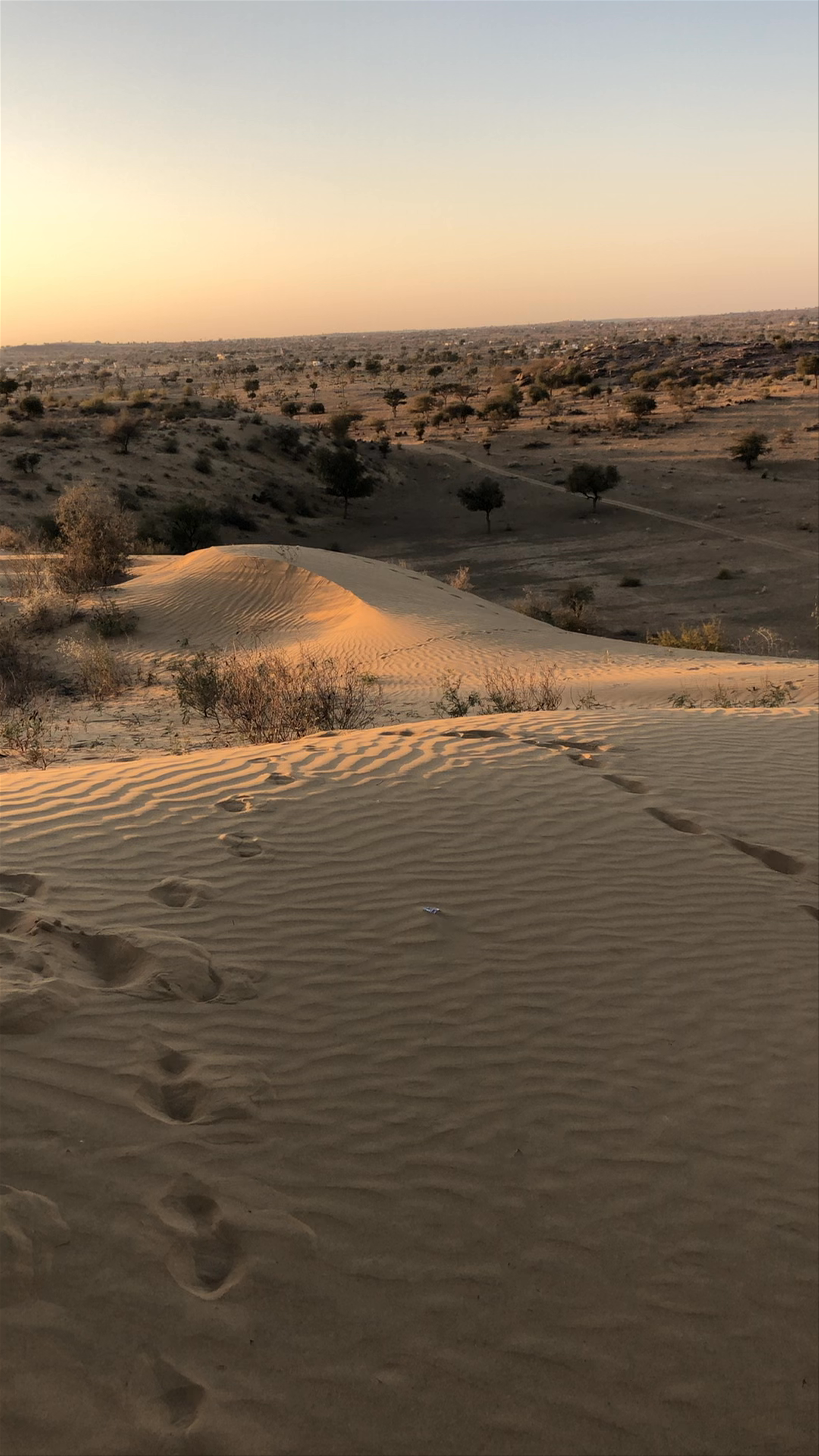 Thar Desert
