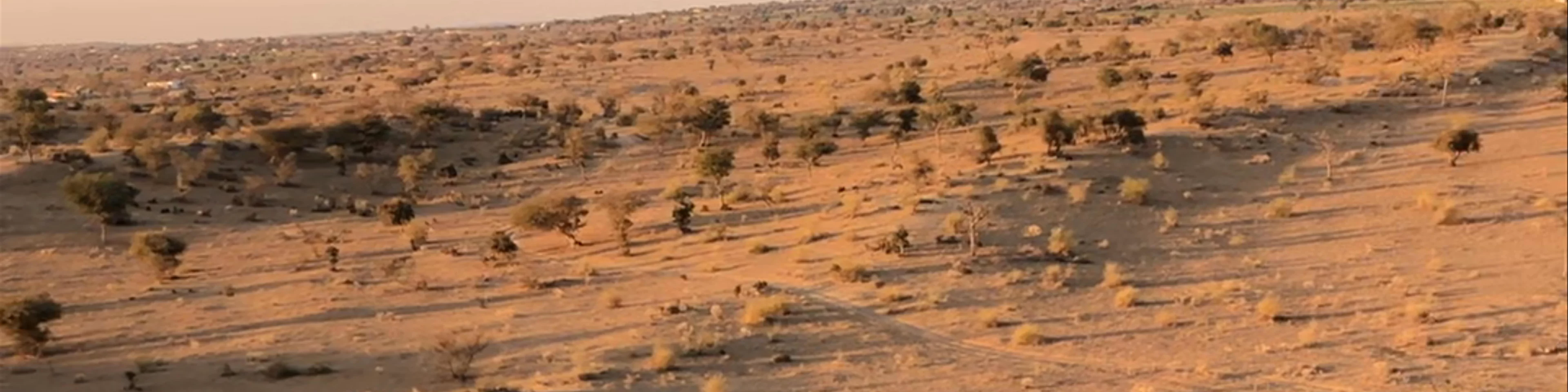 Thar Desert