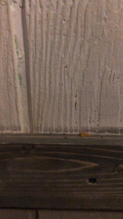 Cilantro Mexican Grill - They have an ant infestation and terrible customer service. Reported the ants and the manager didn't care at all. - Mexican Near Me - Nashville, Tennessee