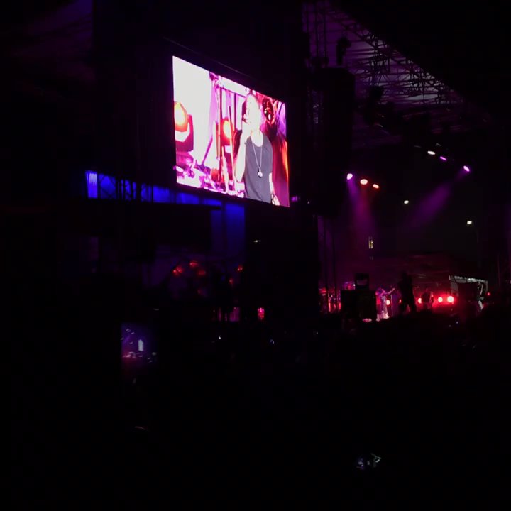 Commodore Barry Park - Raphael saadiq- AfropunkFest 2017 - Parks Near Me - Brooklyn, New York