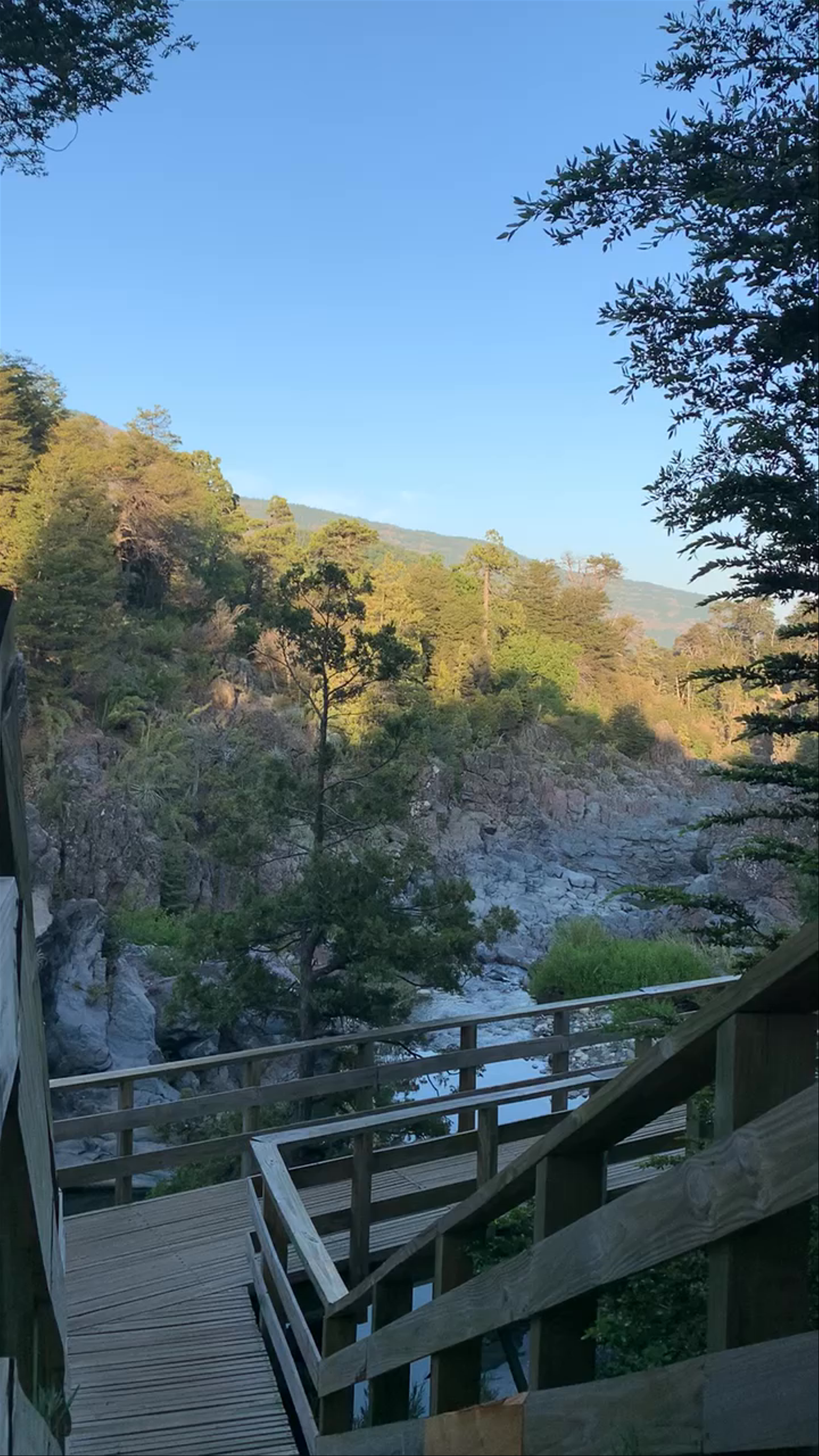 Camping Rocas Basálticas - Conaf