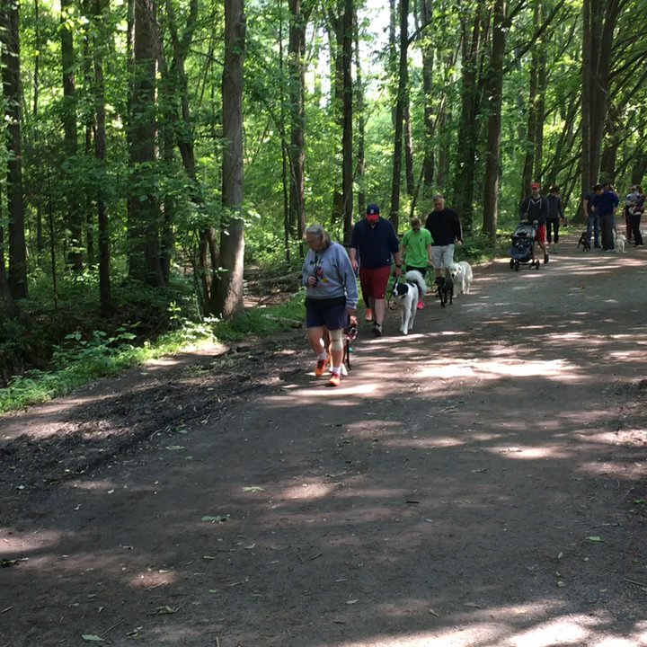 Atlanta Dog Wizard - Group class heeling at North Cochran Shoals - Pet Training Near Me