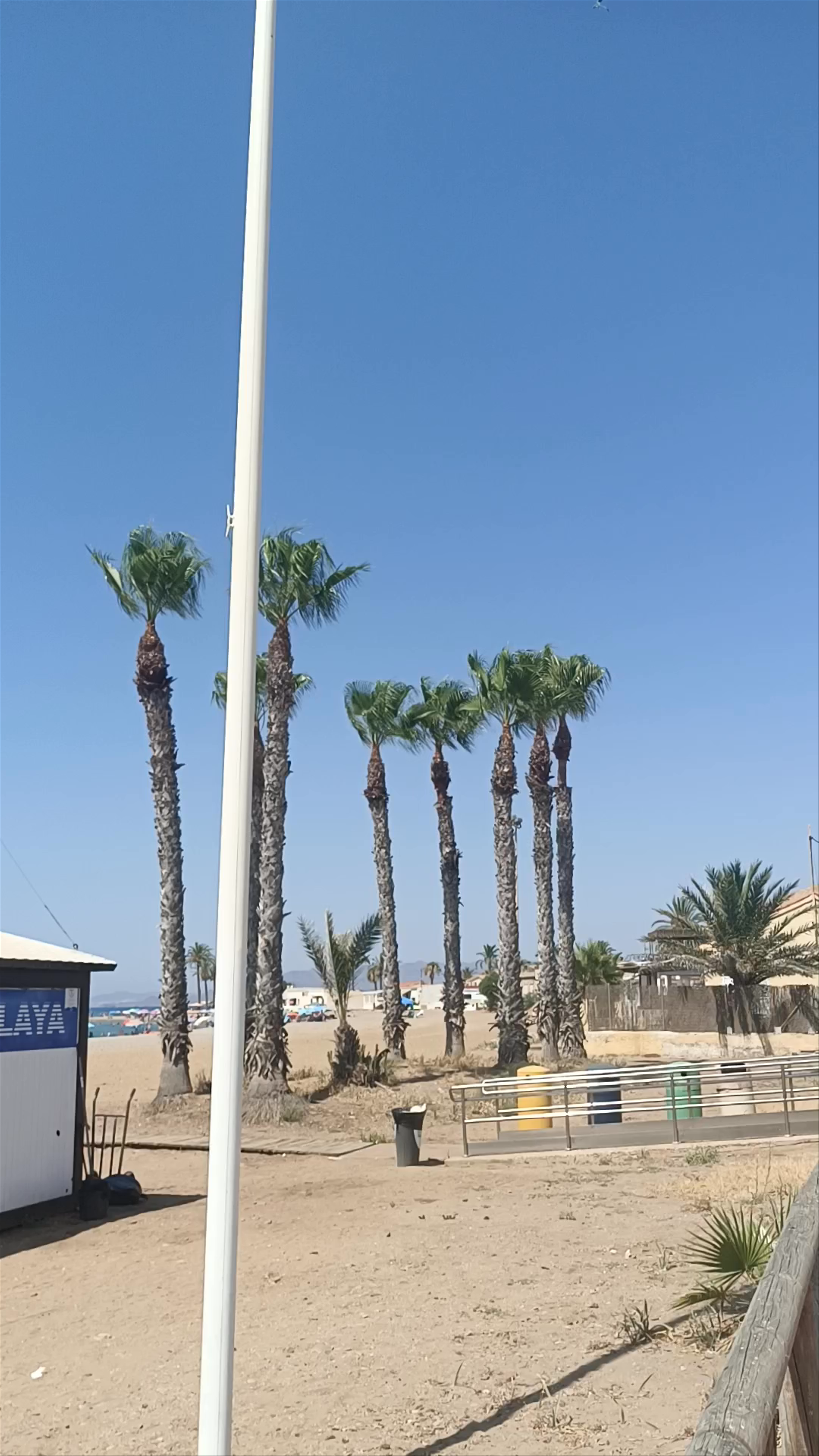 Chiringuito Nares at Playa Grande: Sunny Beachside Dining in Región de Murcia, Spain