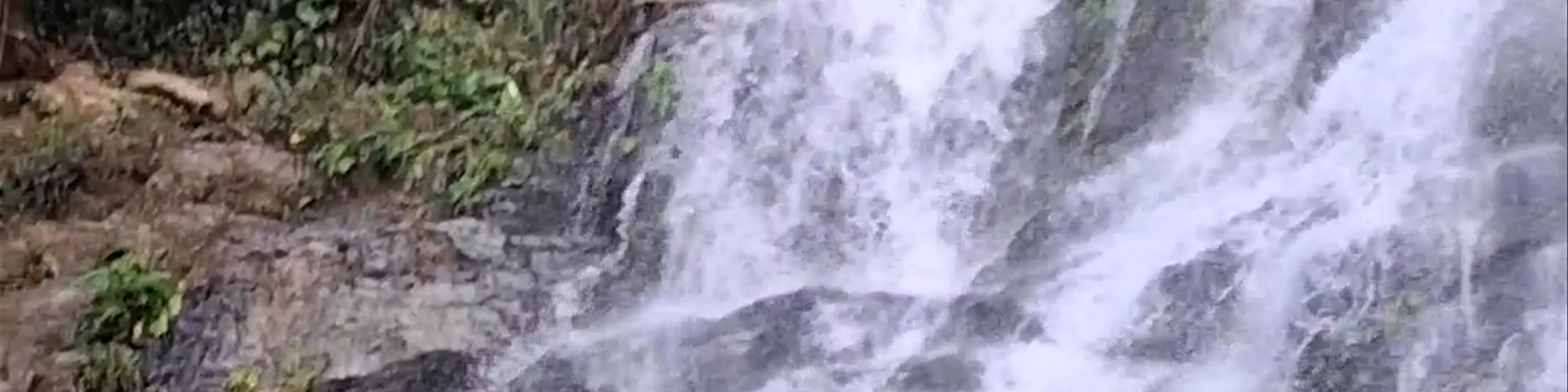Tamaraw Falls