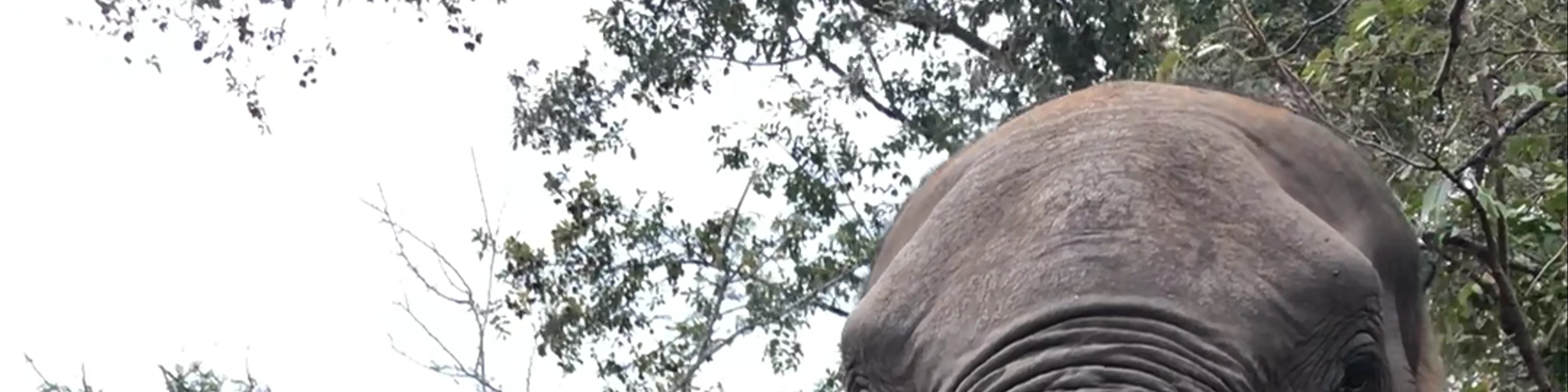 Hwange National Park
