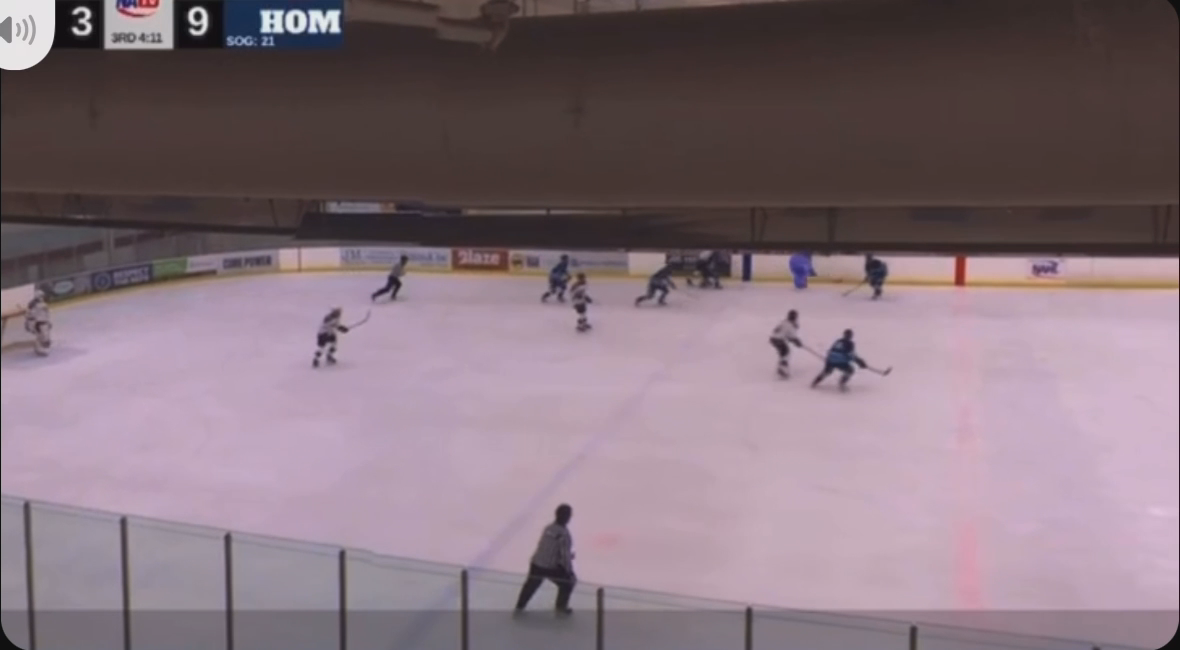 Nathan Walker's Stunning Goal Highlights with MN Grey Ducks 18U AA