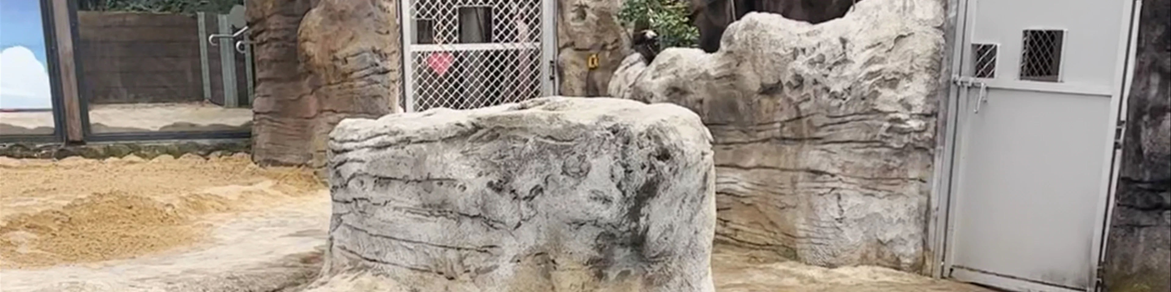 Taronga Zoo Sydney
