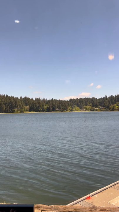 Mo's Seafood & Chowder - Our view from inside-awesomeness - Seafood Near Me - Florence, Oregon