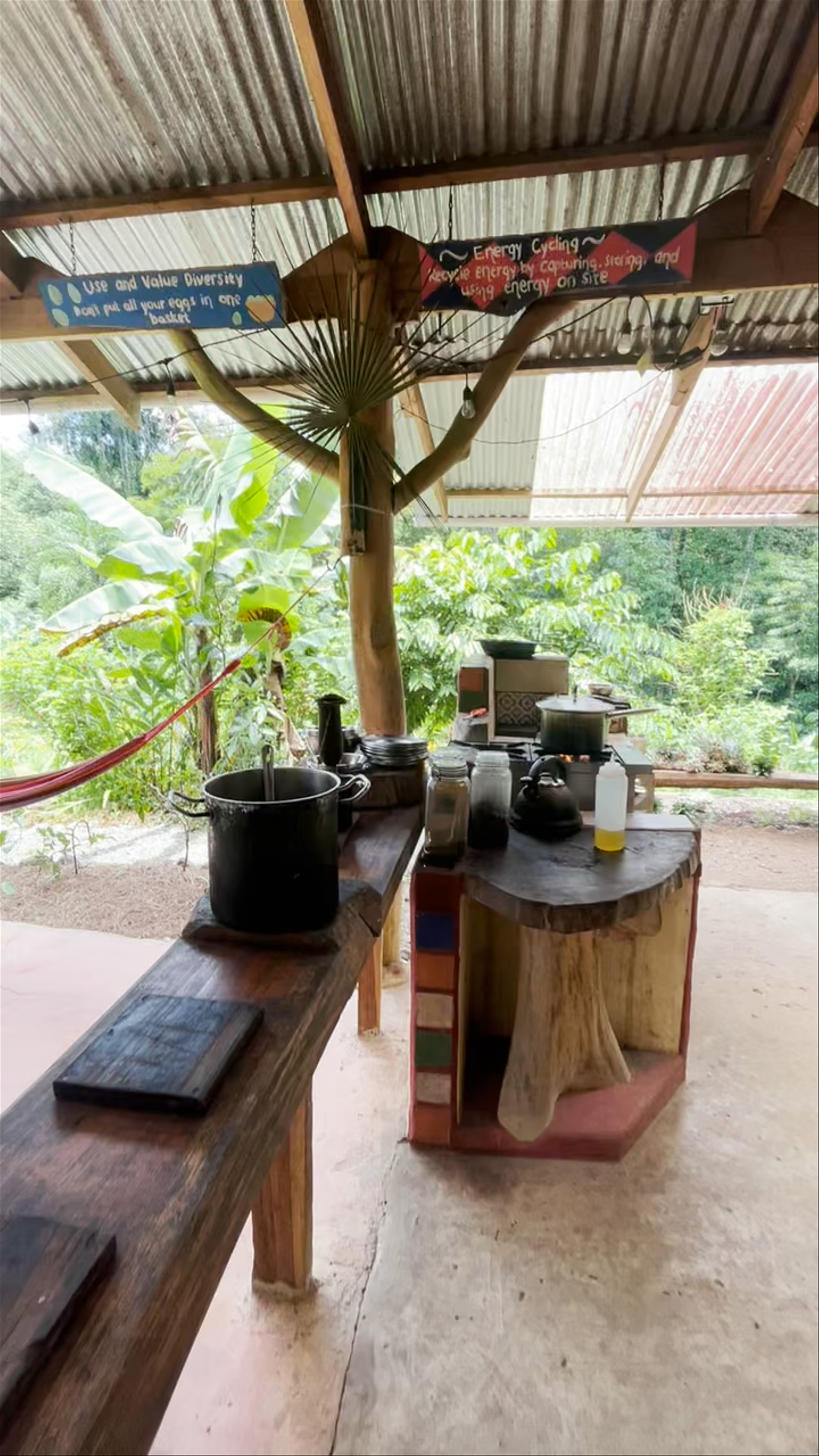 Finca Las Hormigas: Sustainable Living and Jungle Kitchen in Margarita, Costa Rica