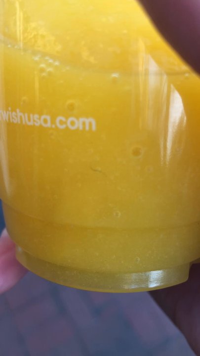 Mr.Wish - Tasted good however there was a hair in my smoothie. So disappointed. Needless to say I didn't finish it. - Juice Bars & Smoothies Near Me - Great Neck, New York