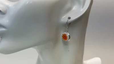Preview image for video