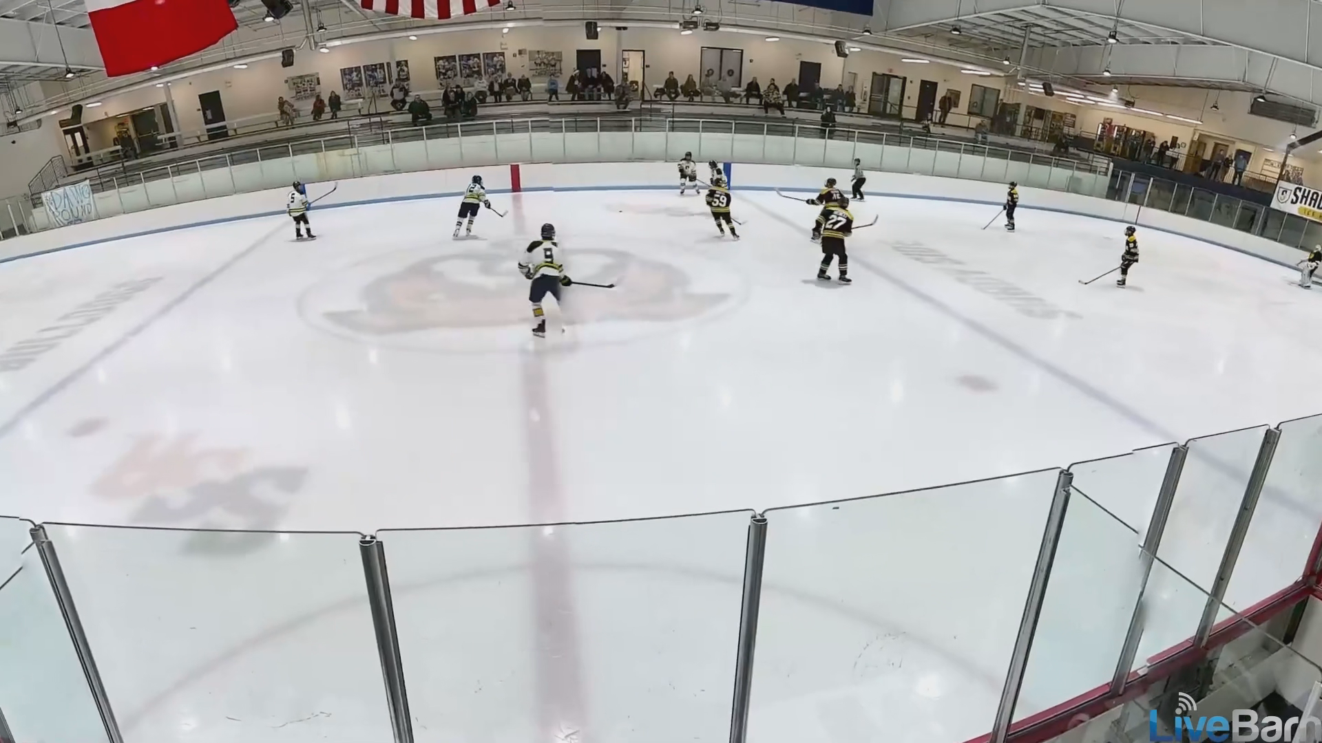 Luke Schmidt's Break-In Pass Highlights for Shady Side Academy