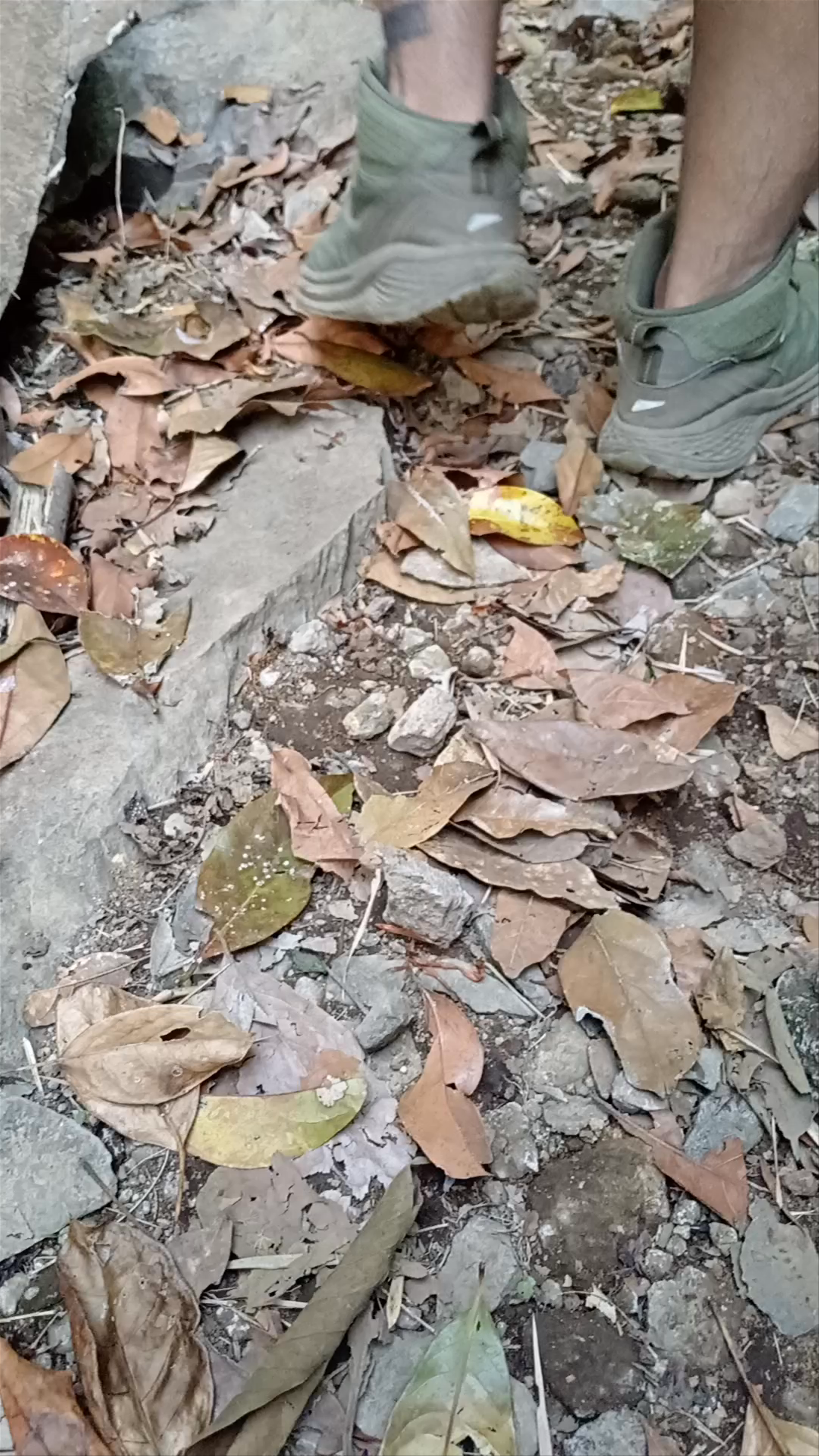 Catarata El Paraíso