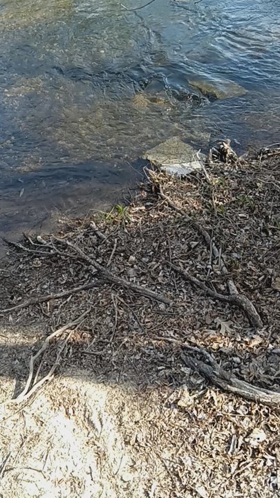 Sauk River Regional Park - Hiking Near Me - Saint Cloud, Minnesota