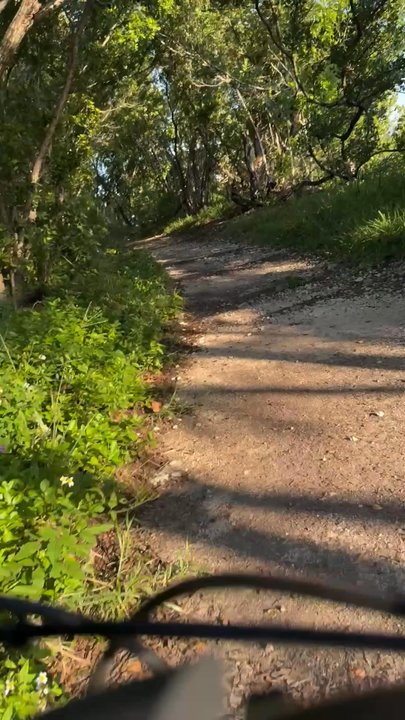 Oleta River State Park - Easy bike  trail and walk trails - Parks Near Me - North Miami Beach, Florida