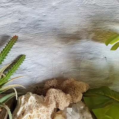 Preview image for video