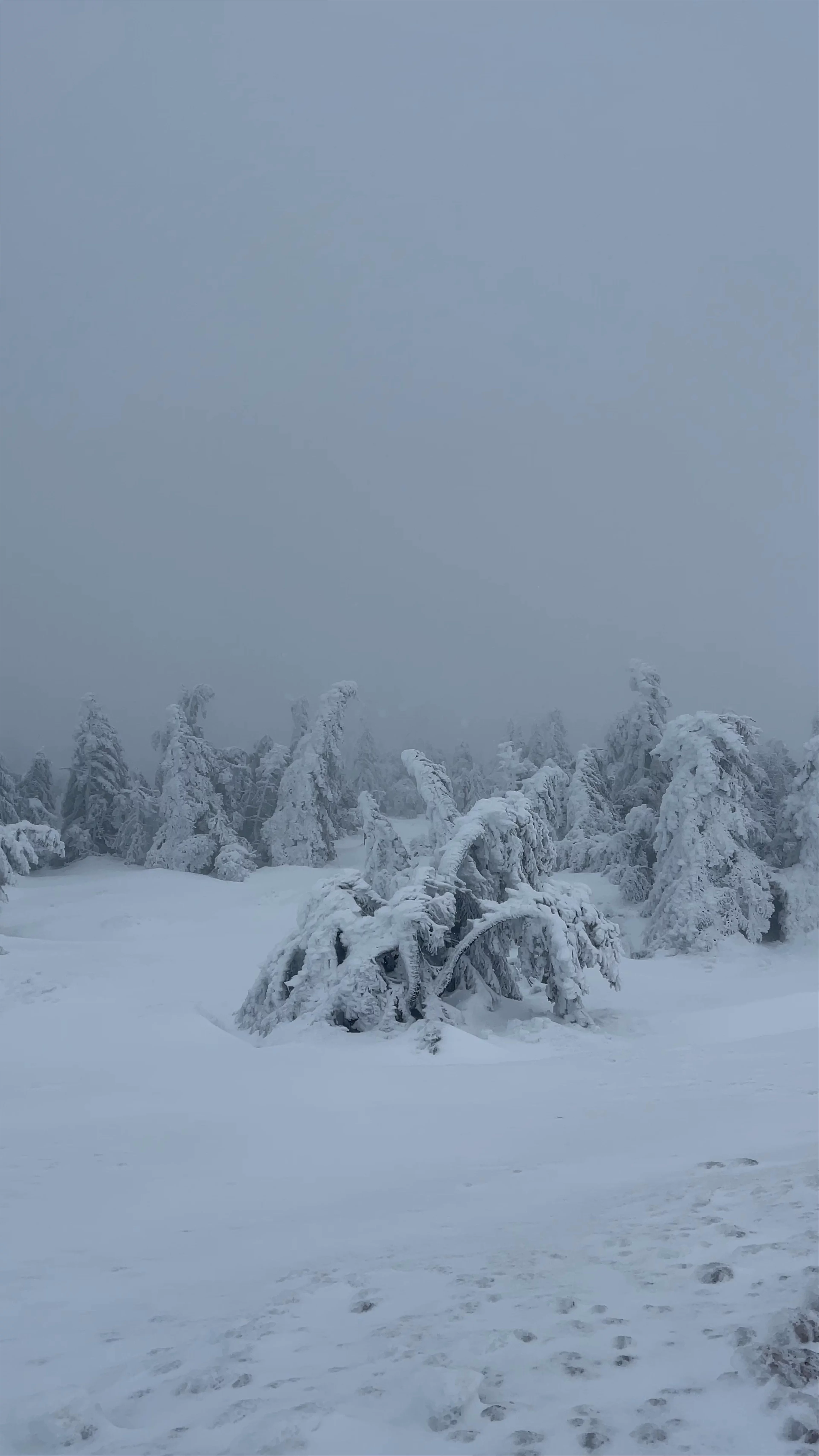 Brocken Mountain