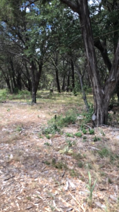 Harker Heights Community Park - Walk way trail - Parks Near Me - Harker Heights, Texas