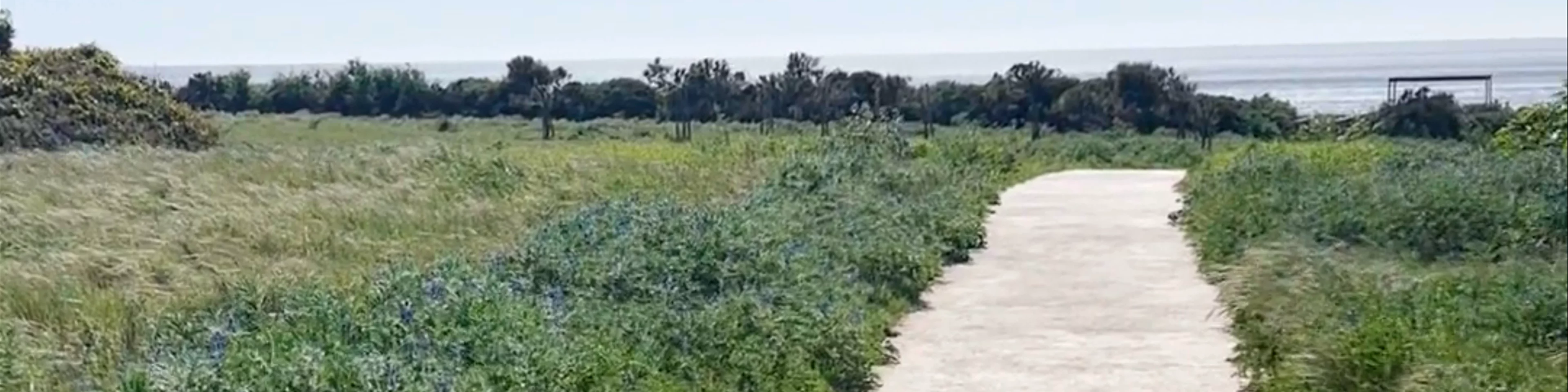 Passadiços da Ponta da Piedade