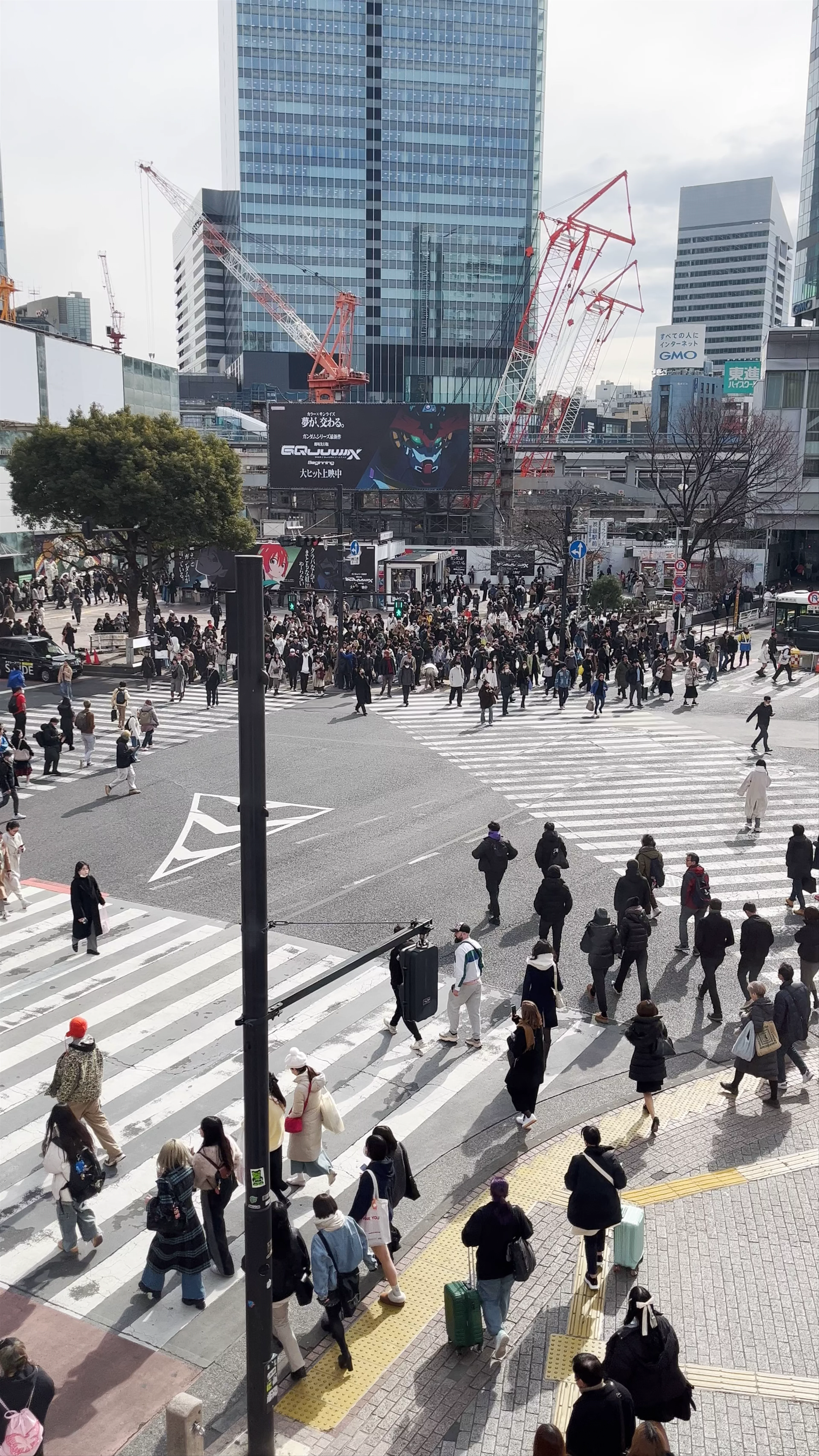 Starbucks Coffee - Tsutaya Bookstore Shibuya Scramble Square