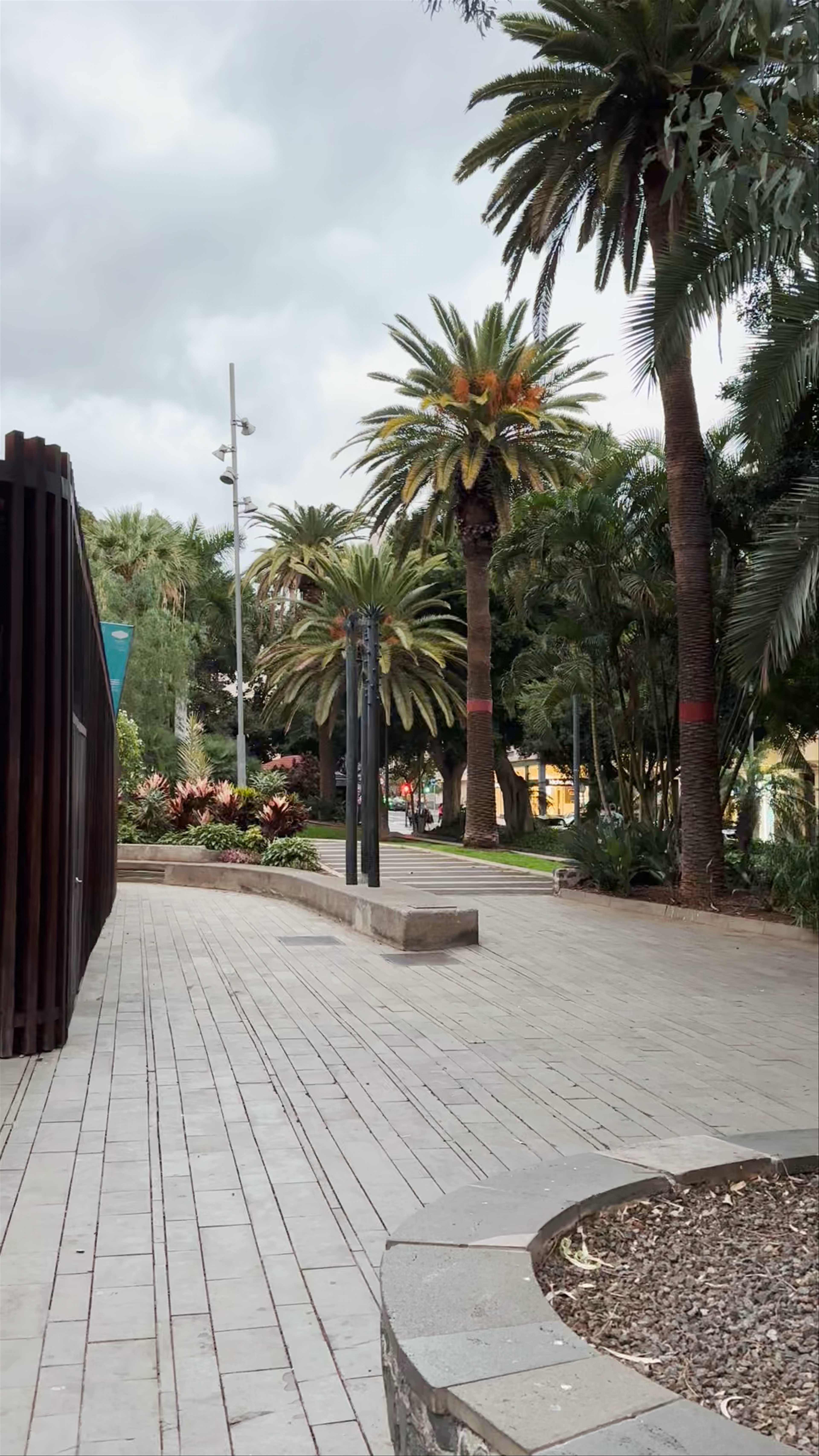 Reloj de Flores at Parque García Sanabria: Floral Timepiece in Santa Cruz de Tenerife