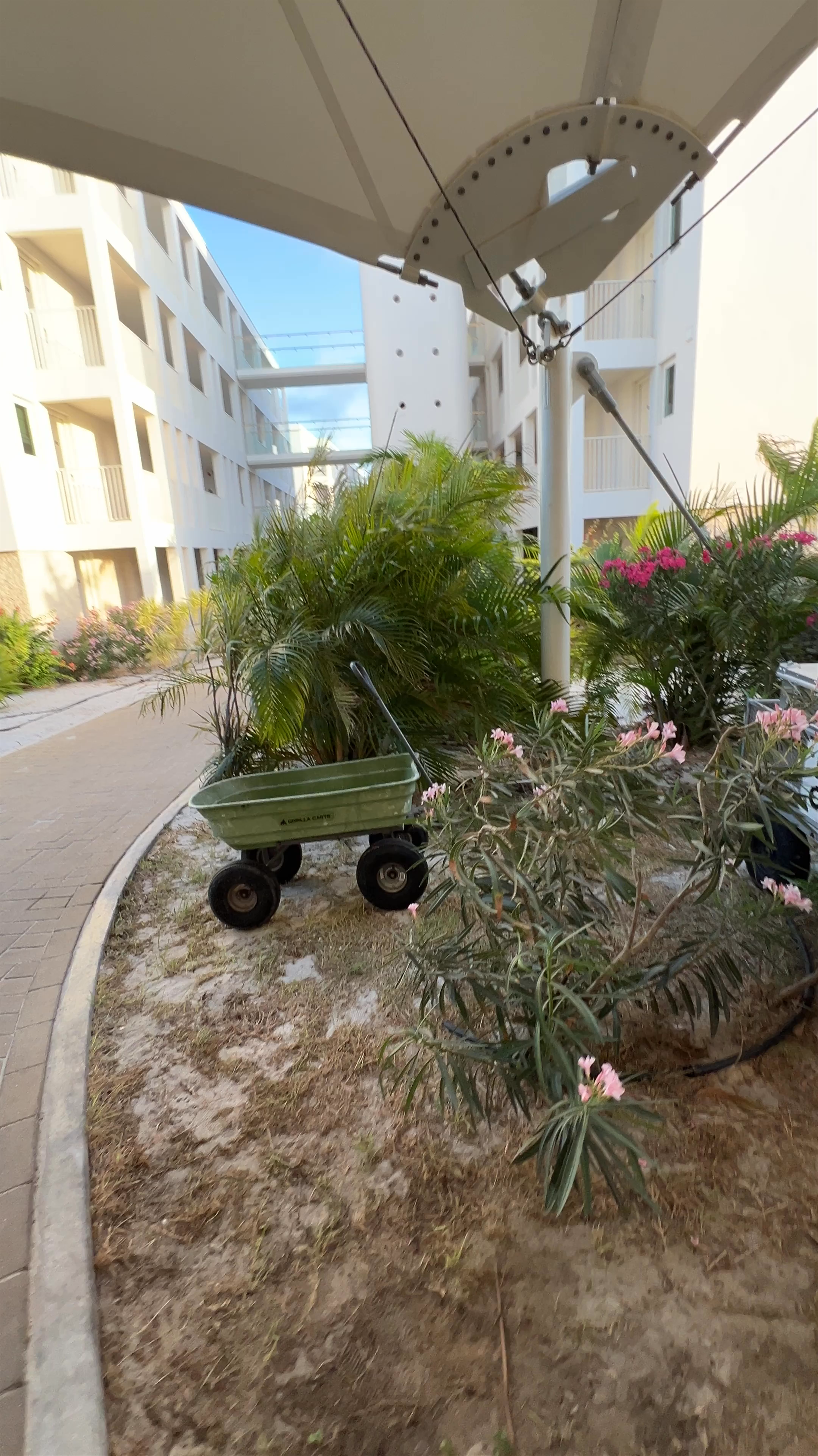 Chogogo Dive & Beach Resort Bonaire