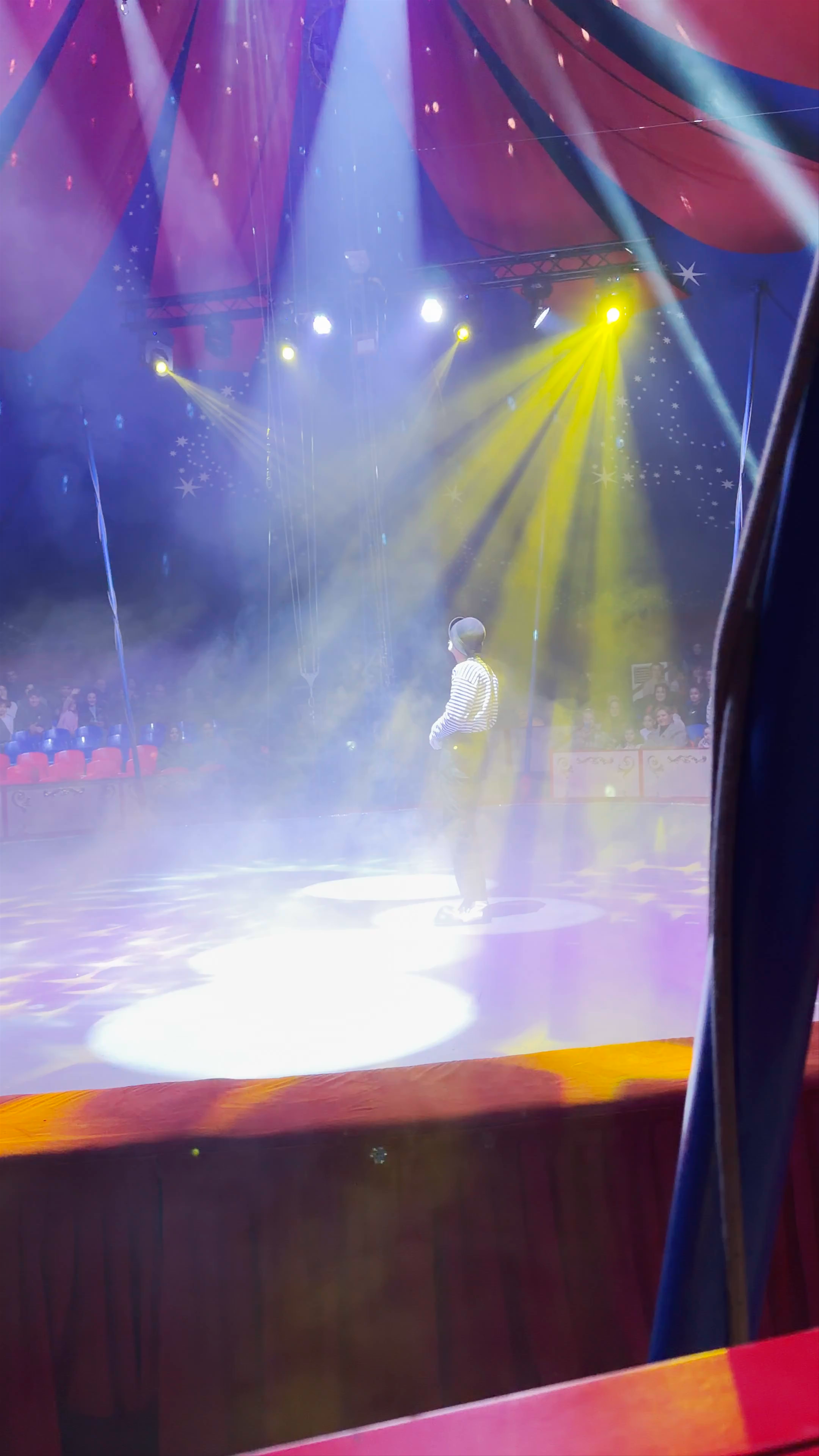 Vardanian Brothers Circus