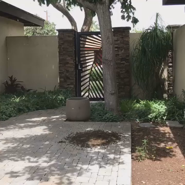 The Beekeeper Total Bee Control - Time-lapse of Africanized Bee Swarm extermination - Pest Control Near Me