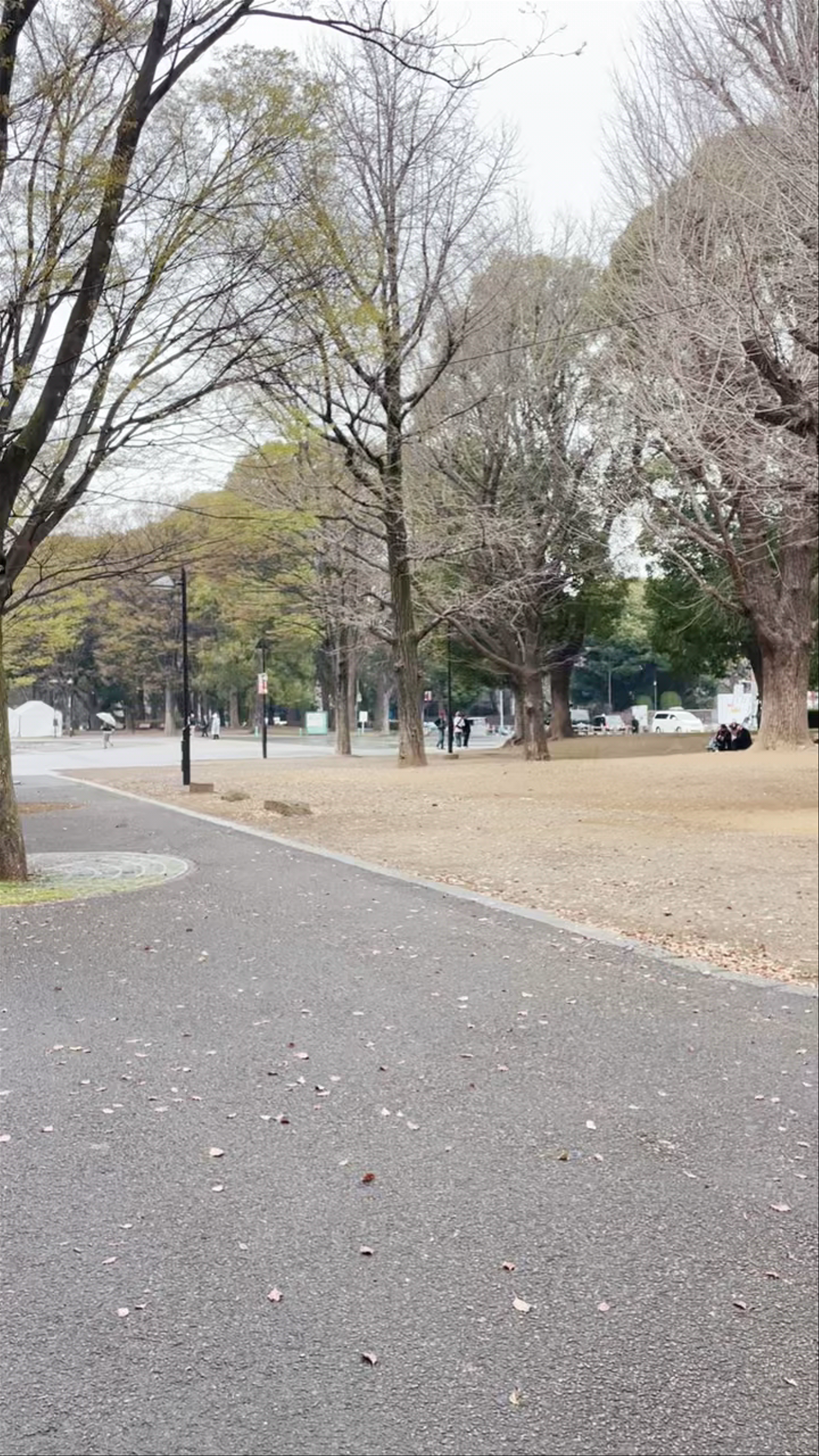 Ueno Park