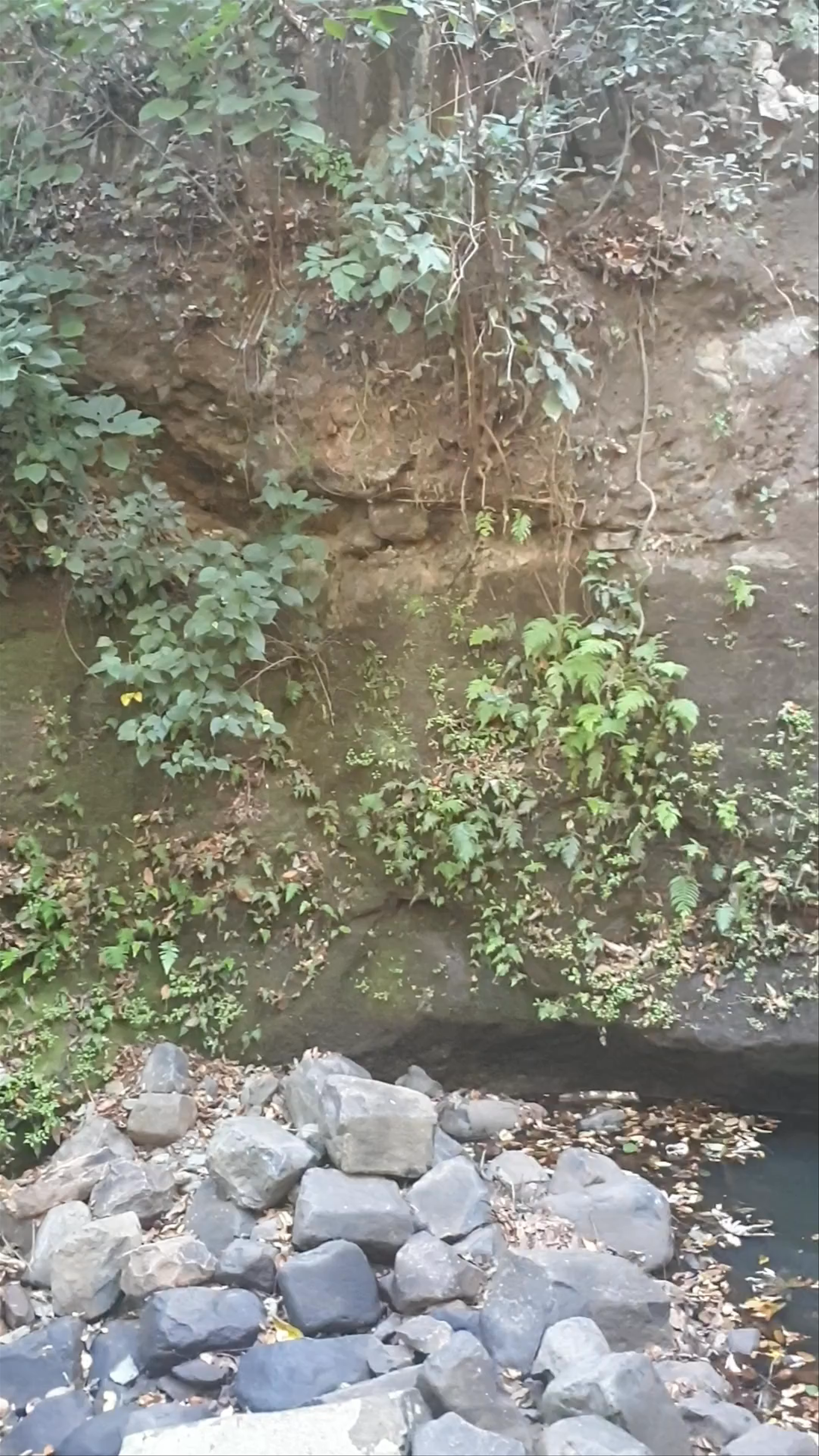 Cascada Los Tercios-Suchitoto El Salvador