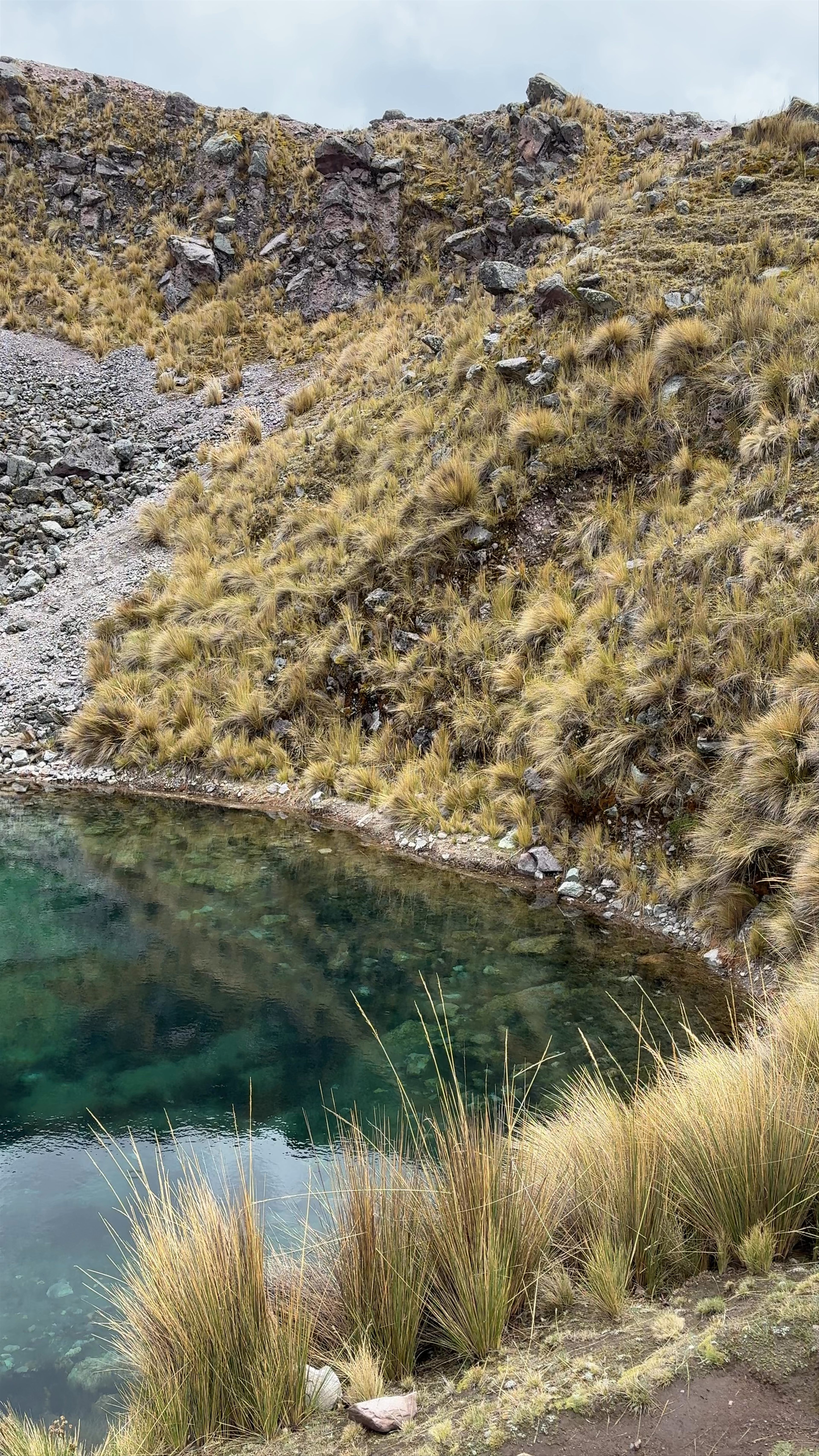 Campamento de familia crispin