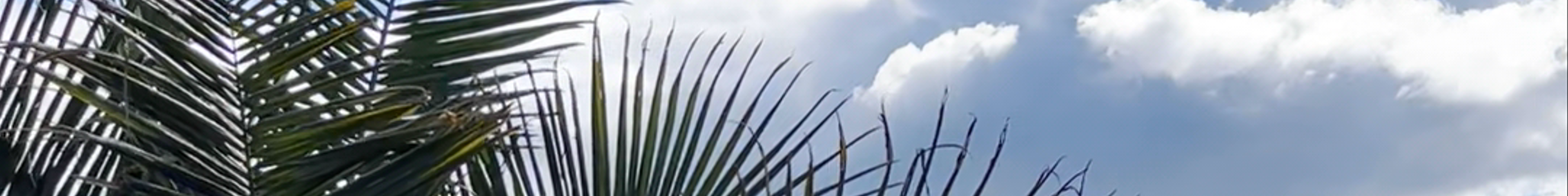 Tours & experiences in Caldas