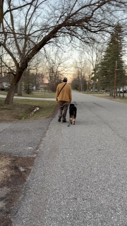Common Sense Canine - Ozzy in heel! - Pet Training Near Me