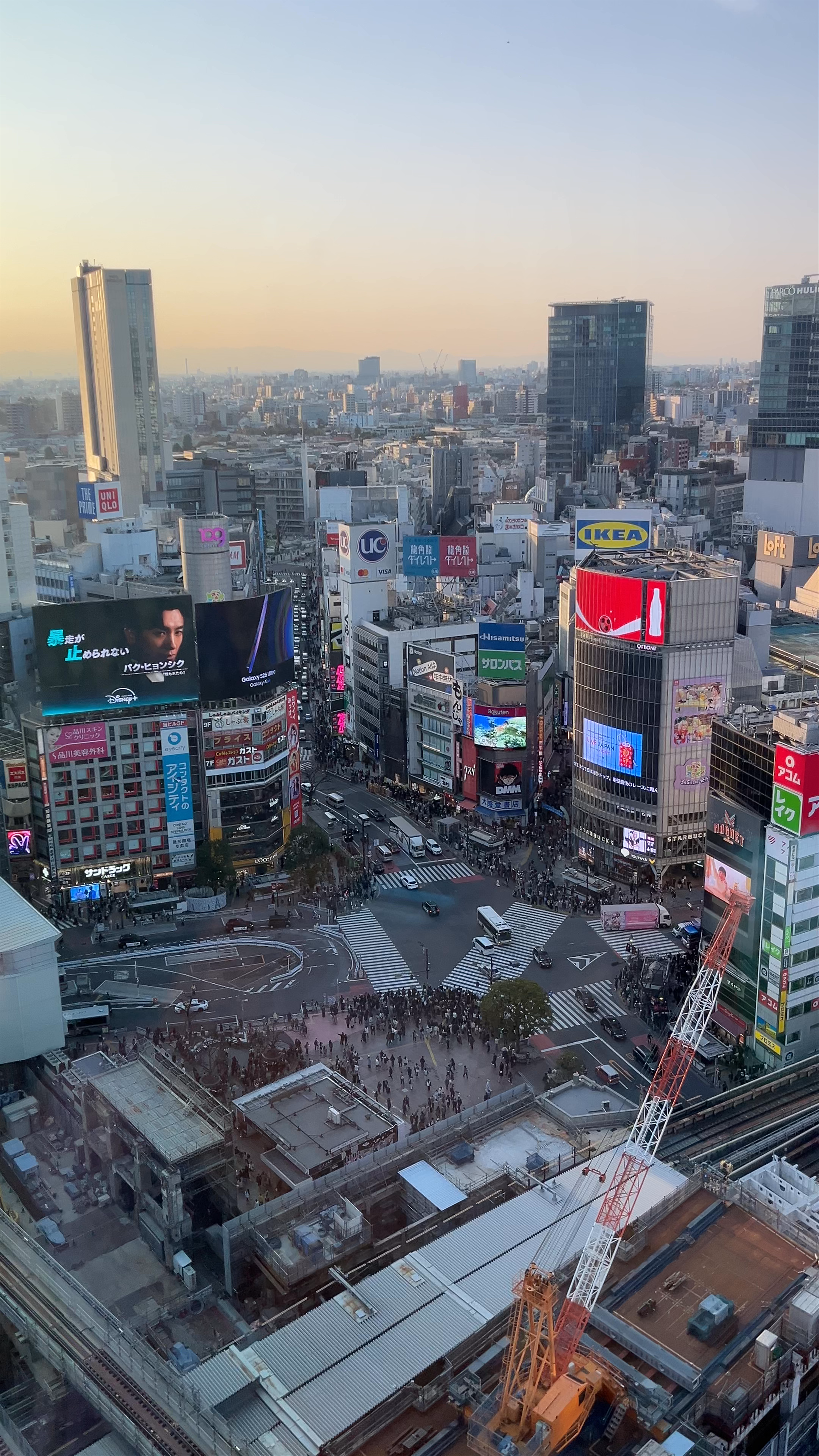 5 CROSSTIES COFFEE 渋谷スクランブルスクエア