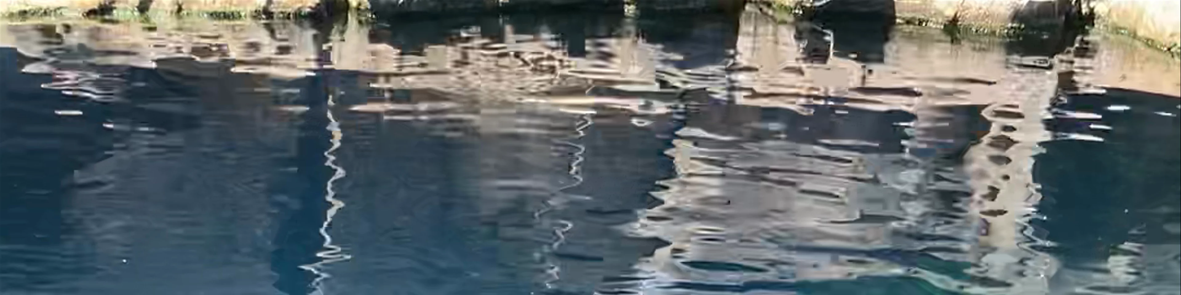Vancouver Aquarium
