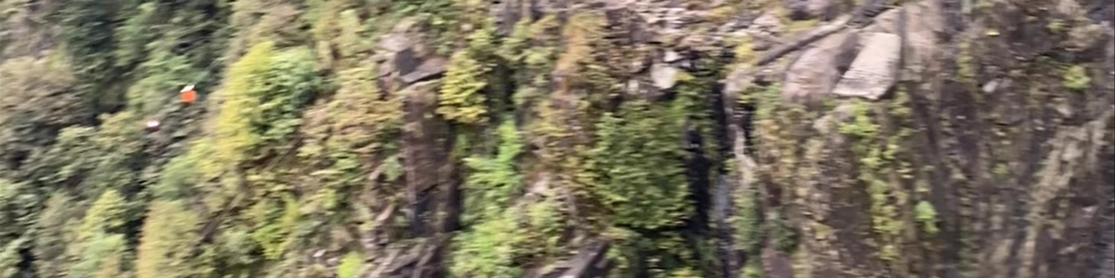 Verzasca Damm