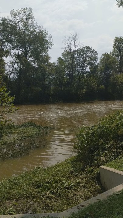 Turkey Run Park - Parks Near Me - Louisville, Kentucky