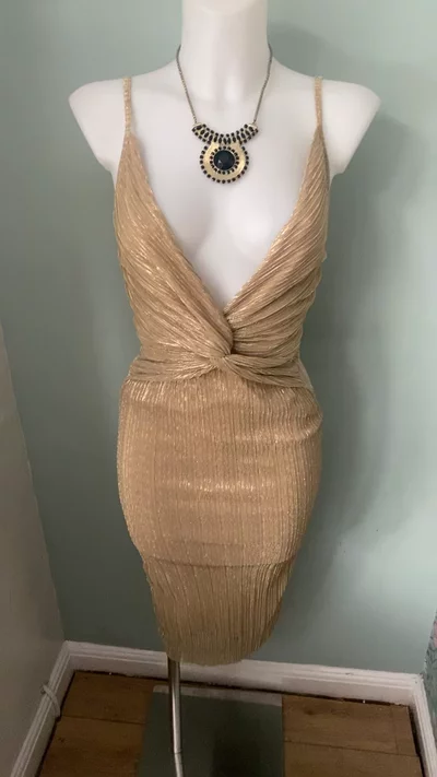 Cameo Rose Bodycon Party Dress
