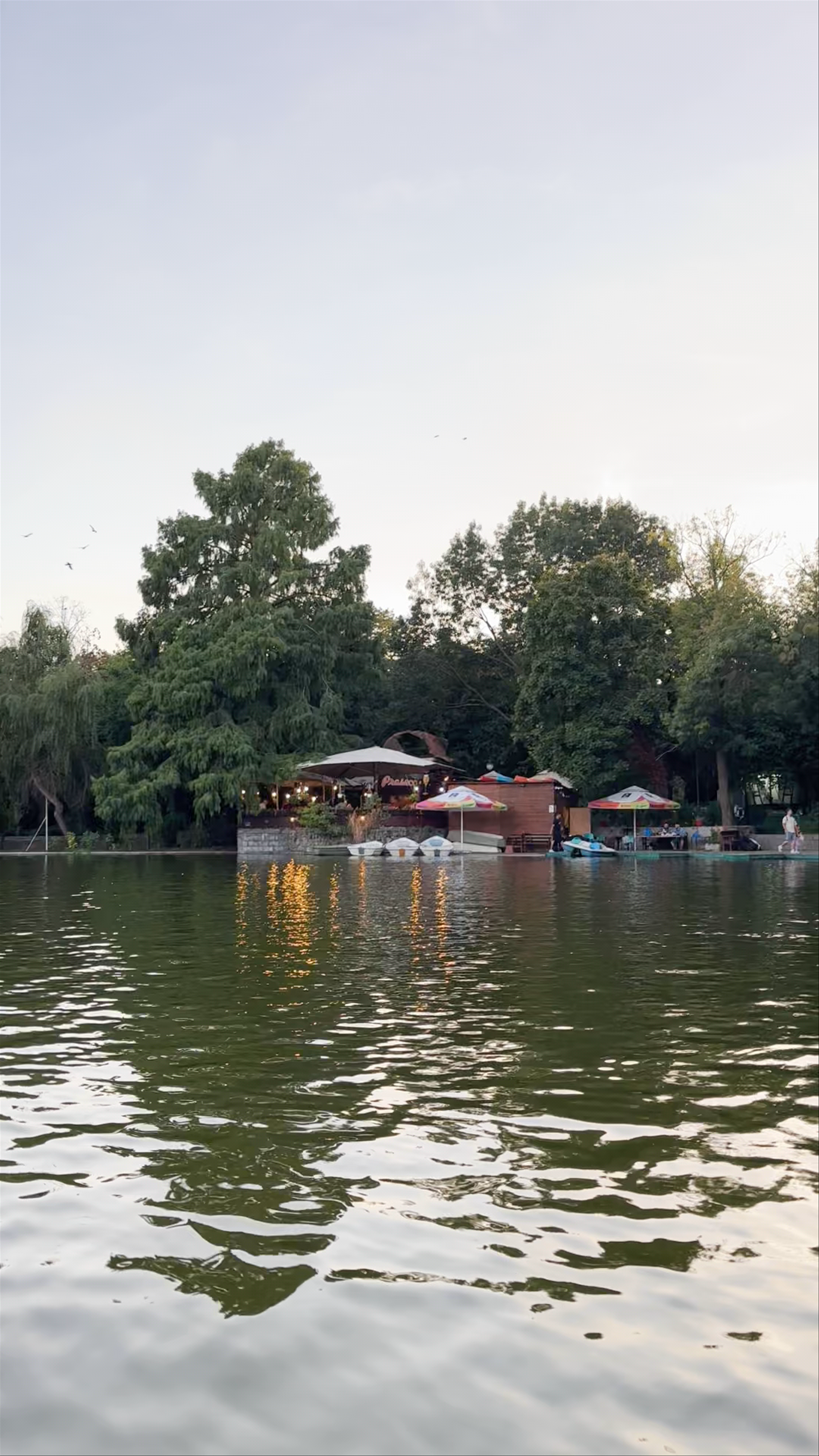 Cișmigiu Garden