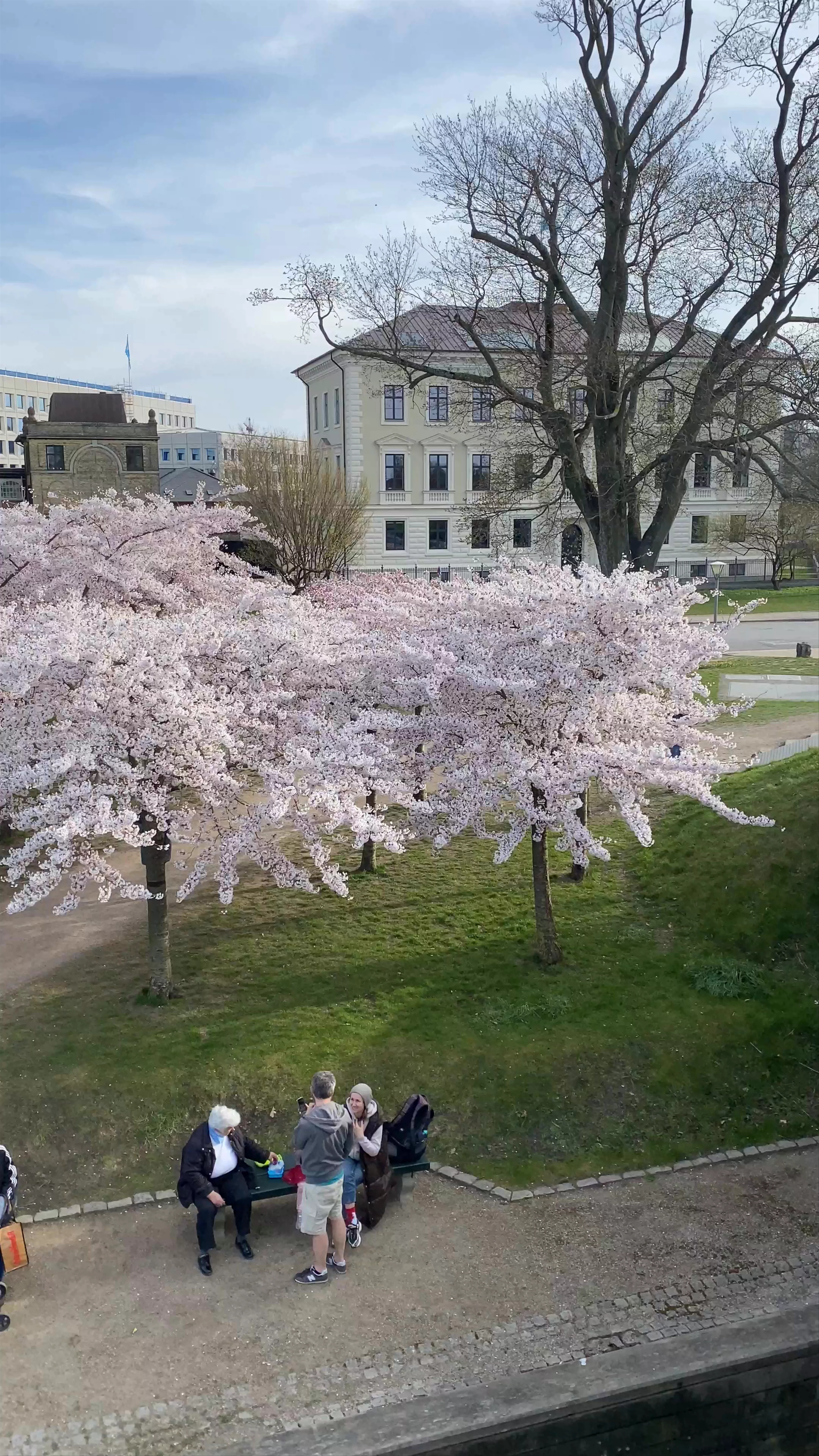 Gefionspringvandet, København K, Denmark