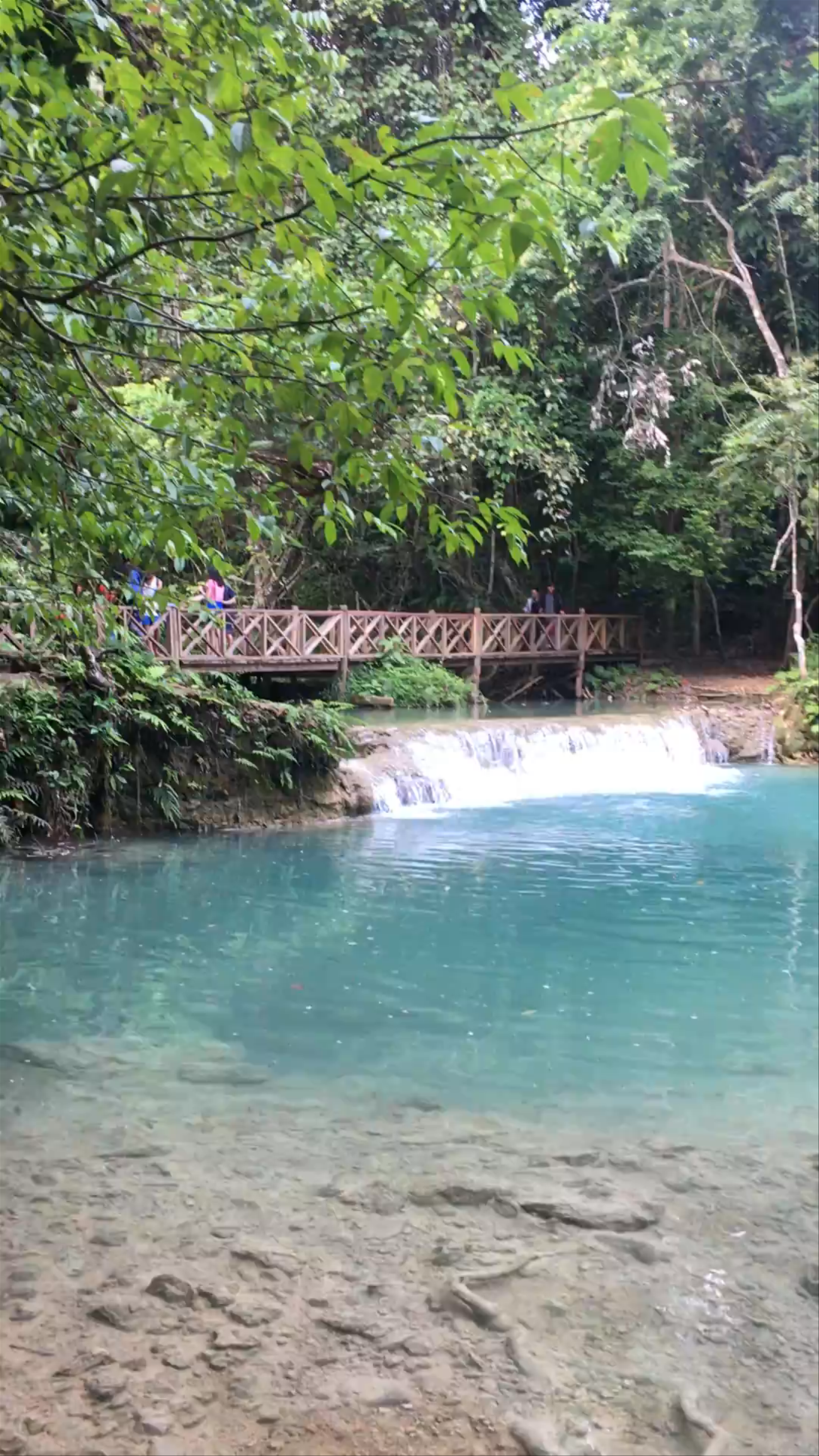 Kuang Si Falls: Tranquil Azure Waterfalls in Laos