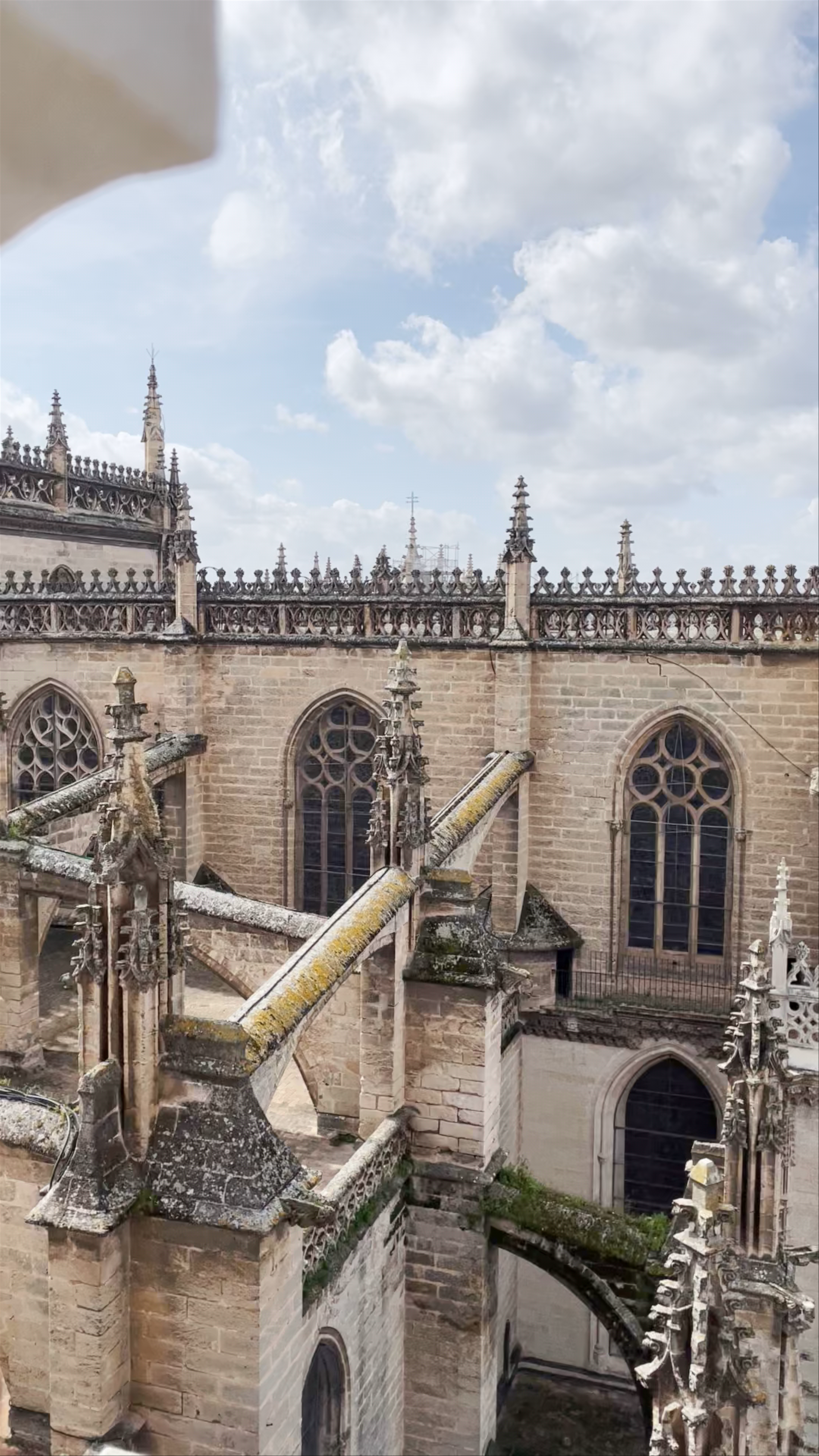 Giralda Tower Views and Historic Architecture in Seville