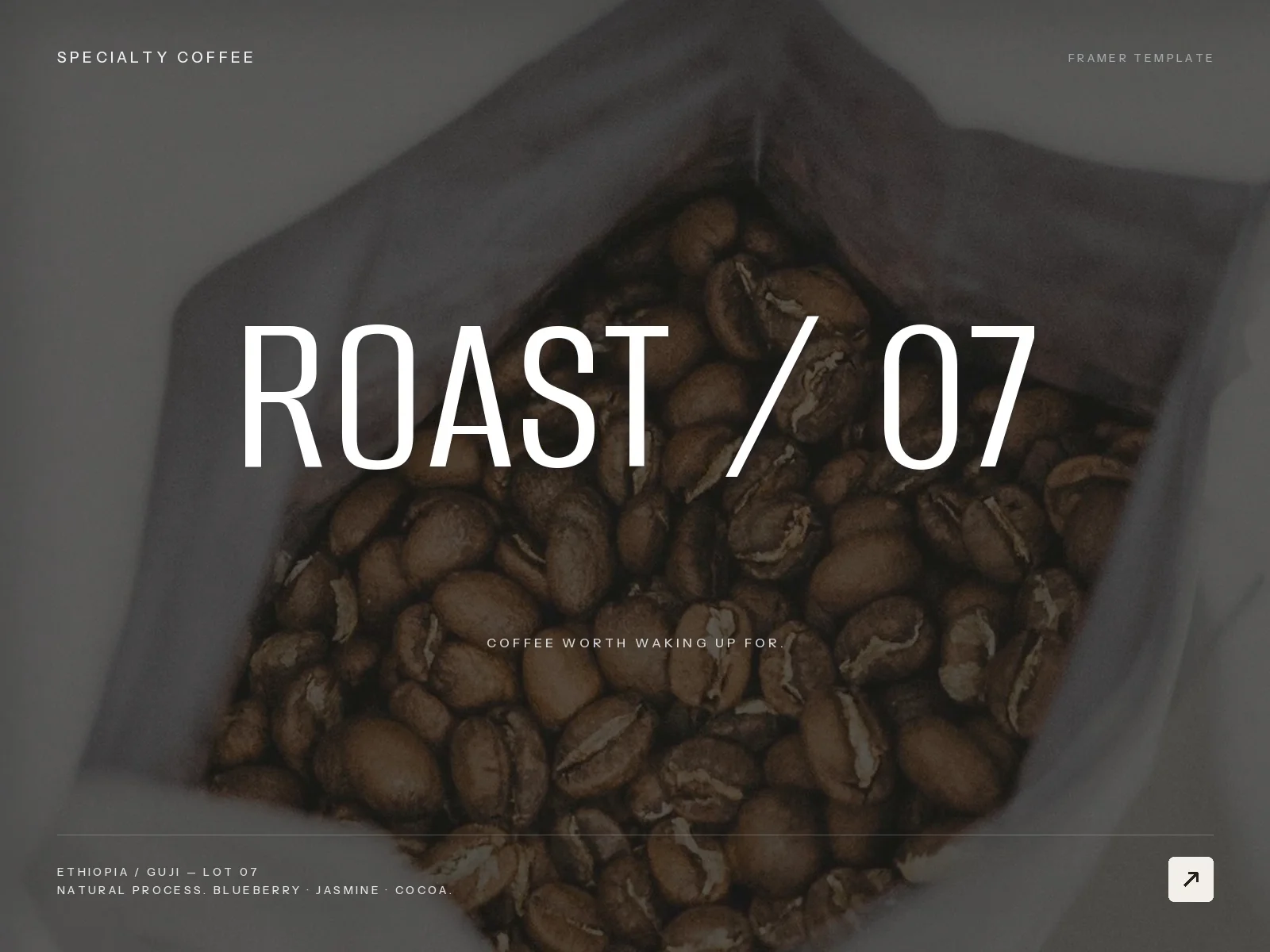 Coffee Roastery Site