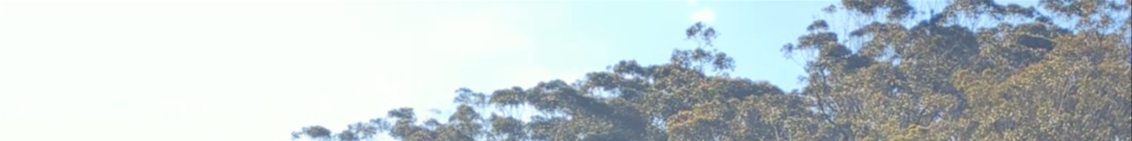 Tours & experiences in Wollongong