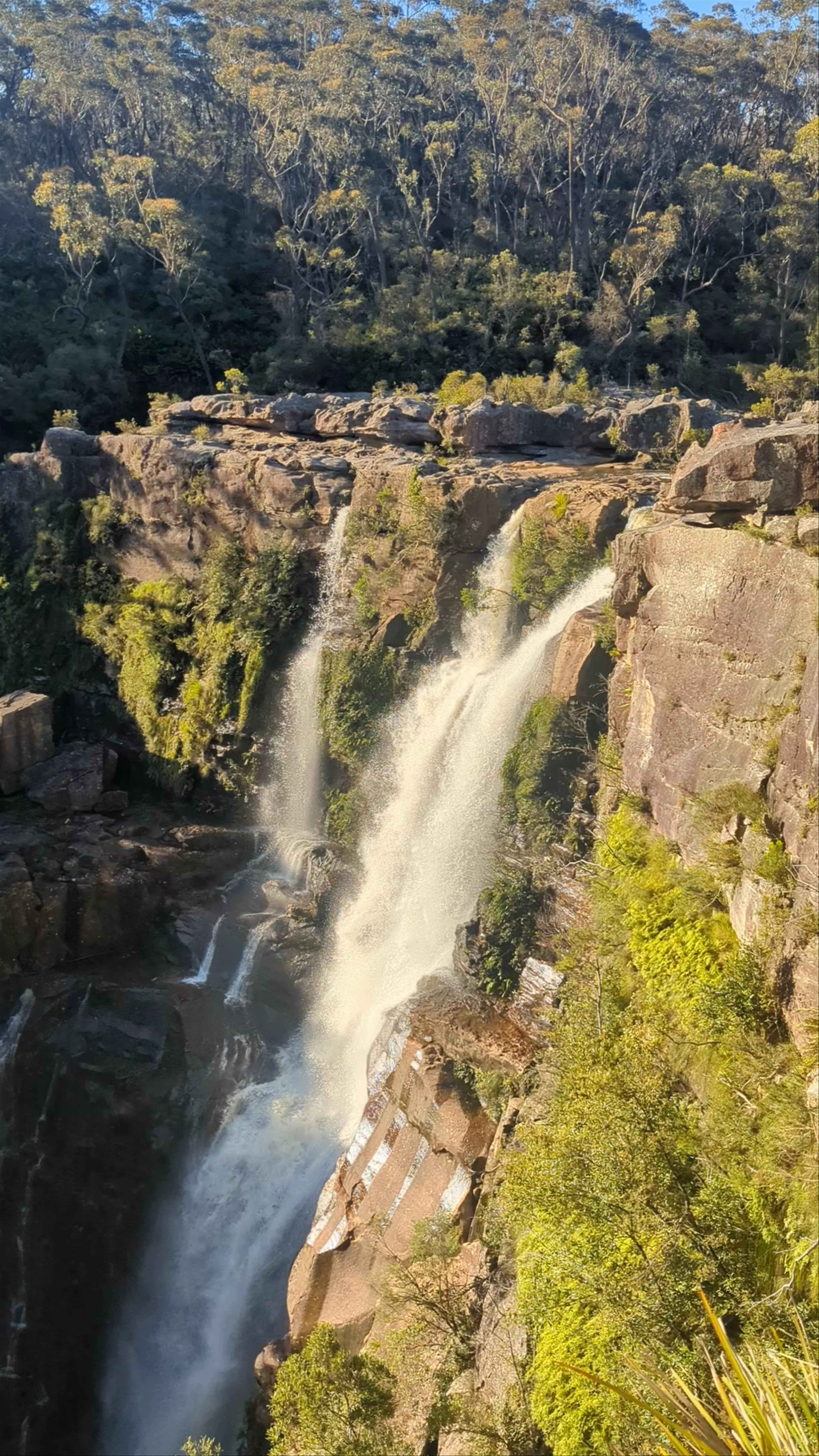 Carrington Falls, National Park, Robertson NSW, Australia